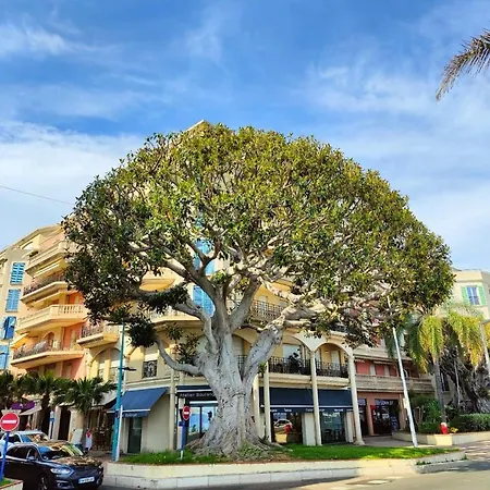 Le Coq Saint-roch - Parking - Ac - Wifi Lägenhet